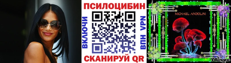 купить   Починок  это какой сайт  Галлюциногенные грибы Psilocybe 